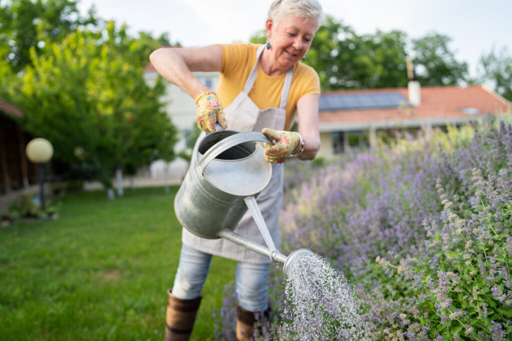A retired woman spraying her flowers with water